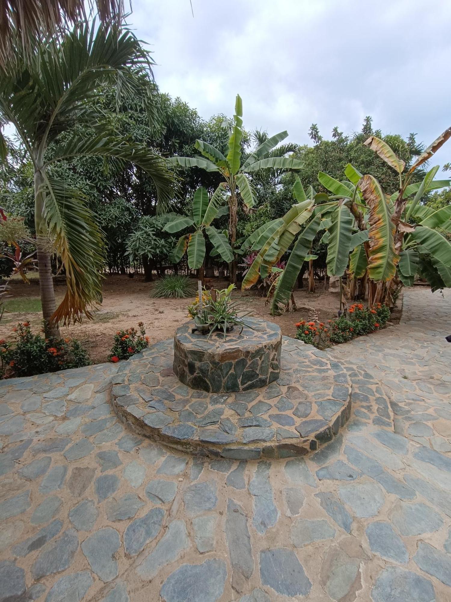 El Paraiso De Carmen Palomino Exterior foto